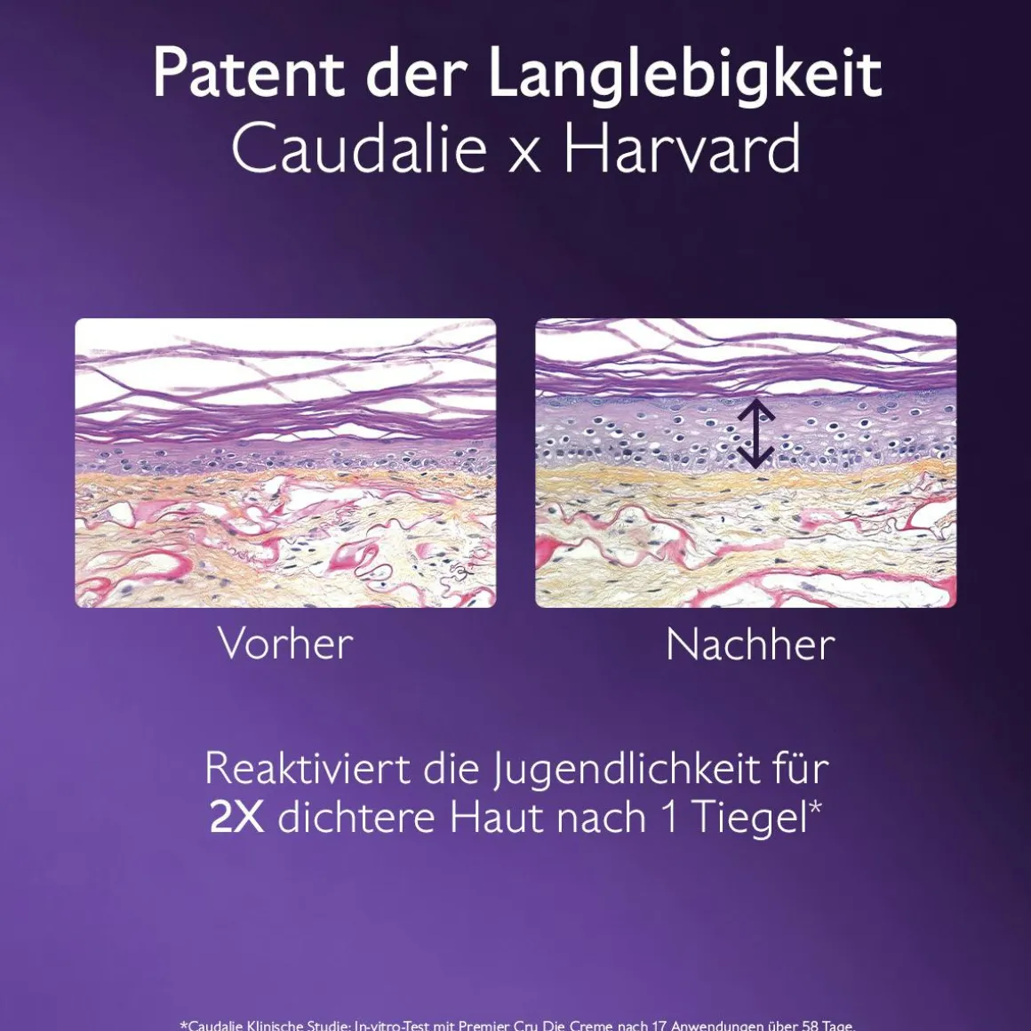 Die Reichhaltige Creme