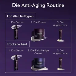 Die Reichhaltige Creme - Nachfüllpackung