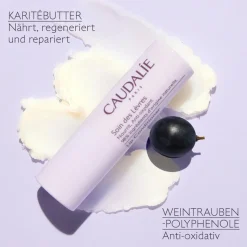 Duo Lippenpflege