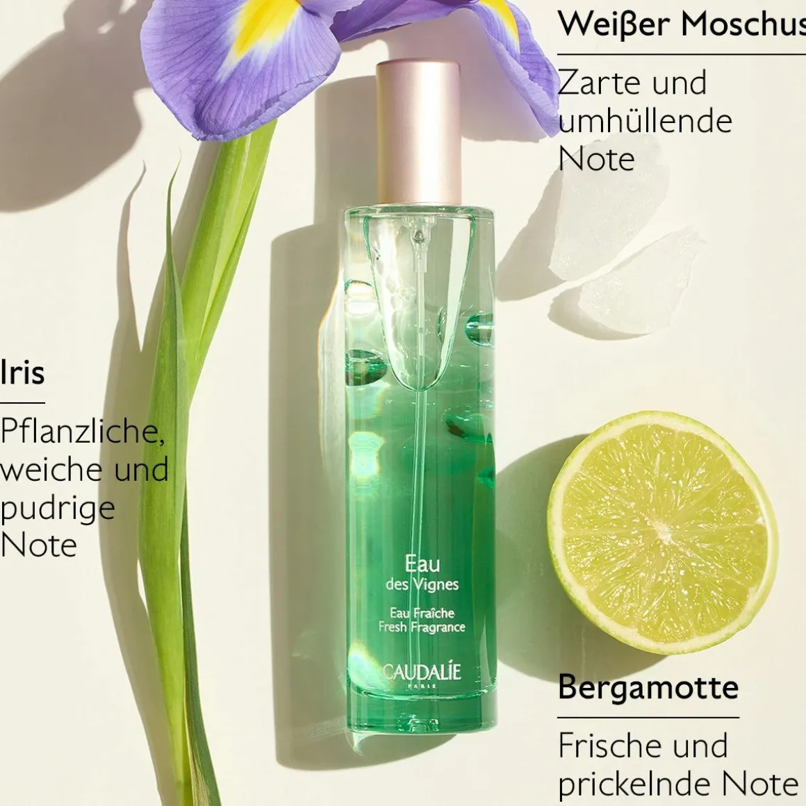 Eau Fraîche Eau des Vignes