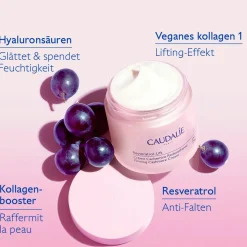 Hautverdichtende Kaschmir Creme mit Resveratrol, Alternative zu Retinol