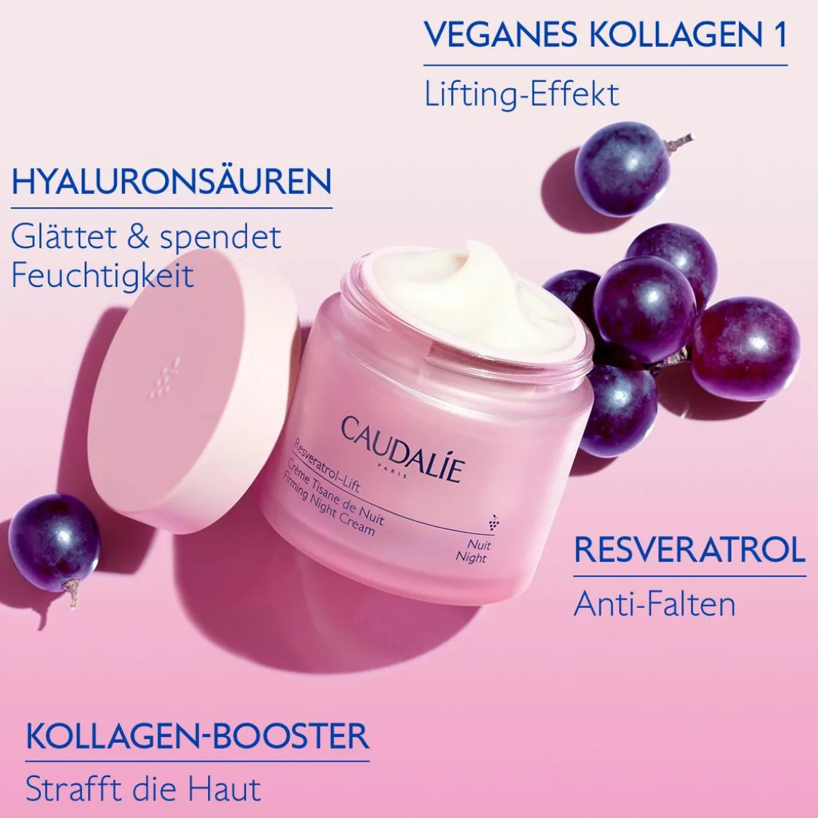 Kräuter-Nachtcreme - Nachfüllpack