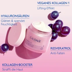 Kräuter-Nachtcreme mit Resveratrol, Alternative zu Retinol