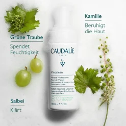 Reinigungsschaum 150ml