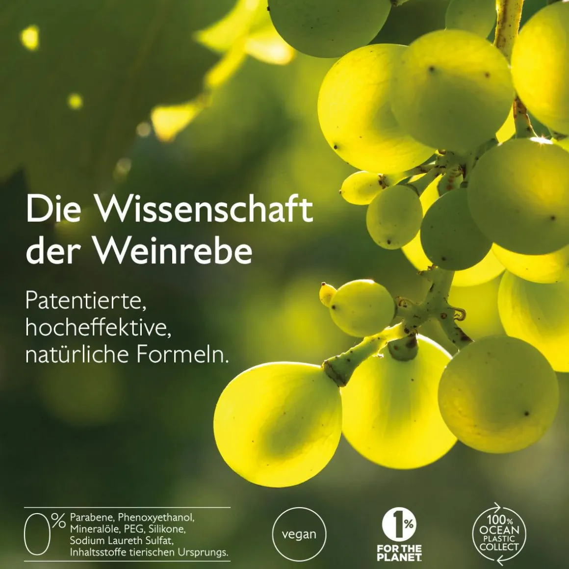 Serum mit Salicylsäure gegen Unreinheiten